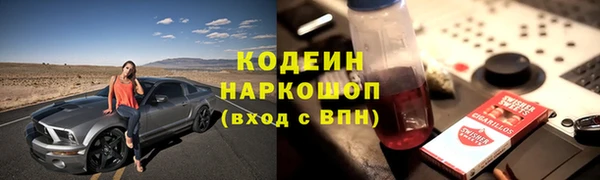 винт Абаза