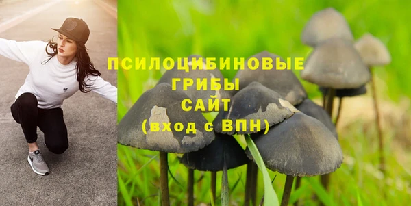 винт Абаза