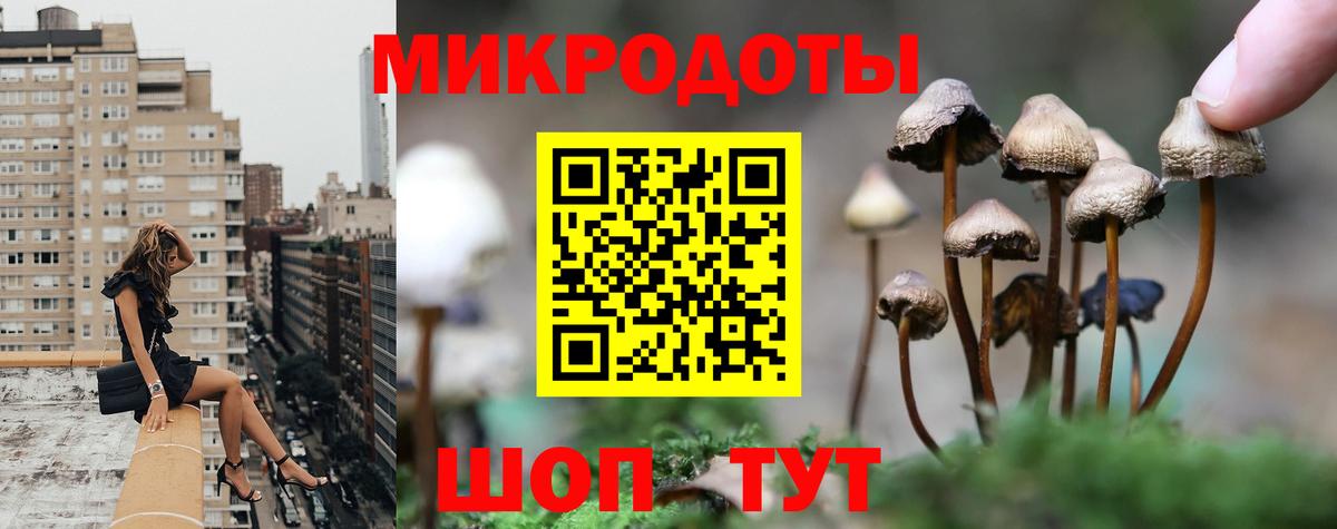 Стерлитамак  Галлюциногенные грибы ЛСД  Вход с VPN  Псилоцибиновые грибы Psilocybe 